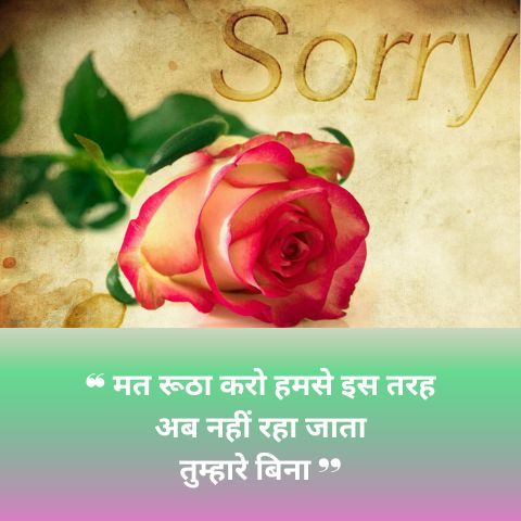 Sorry Shayari For Gf